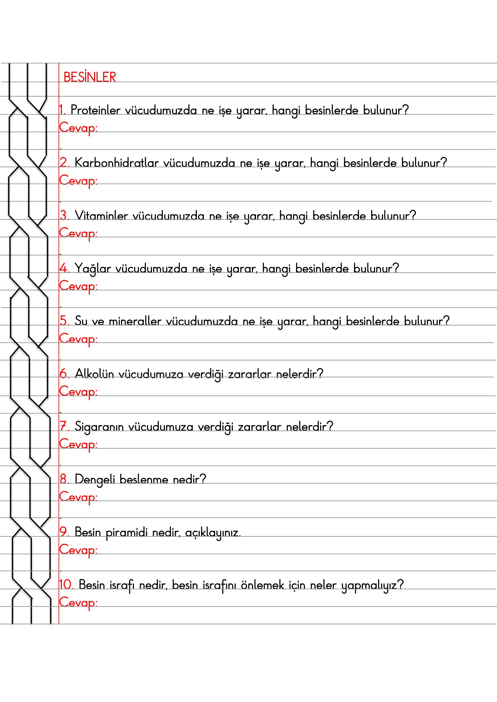 4.Sınıf - Fen Bilimleri Besinler Açık Uçlu Sorular