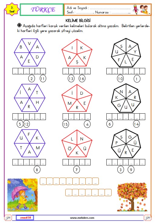 3. Sınıf Türkçe Kelime Bilgisi Etkinliği 1