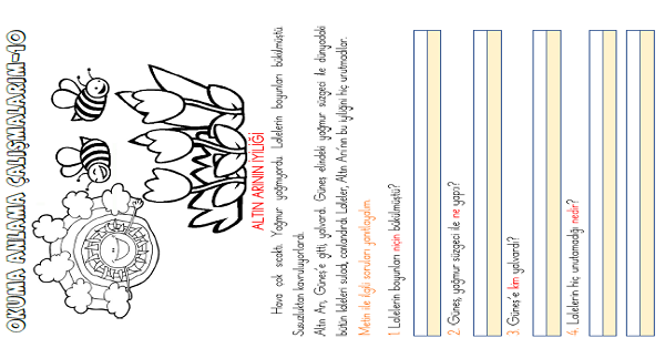 1. Sınıf Türkçe Okuma Anlama (Altın Arının İyiliği) Metni