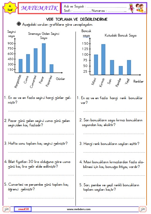 4. Sınıf Matematik Veri Toplama ve Değerlendirme Etkinliği 11