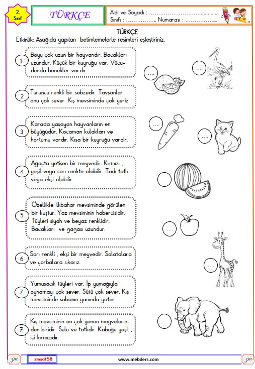 2. Sınıf Türkçe Betimleme Etkinliği 3