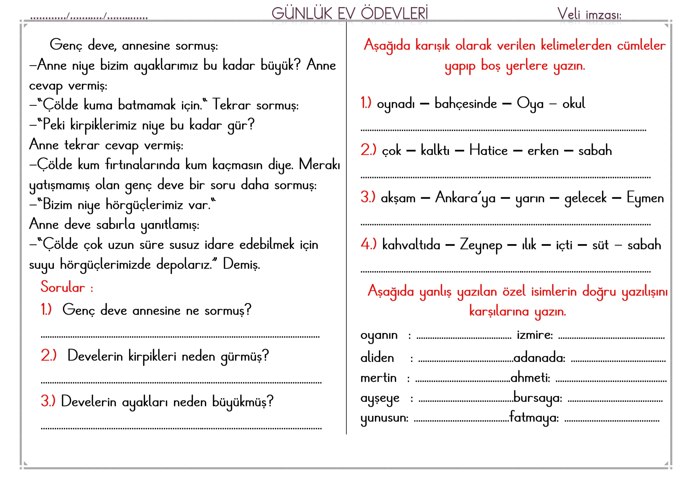 1.Sınıf 04 Şubat 2025 Günlük Ev Ödevi