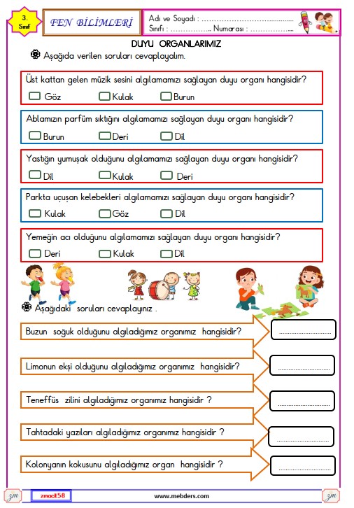 3. Sınıf Fen Bilimleri Duyu Organlarımız Etkinliği 2