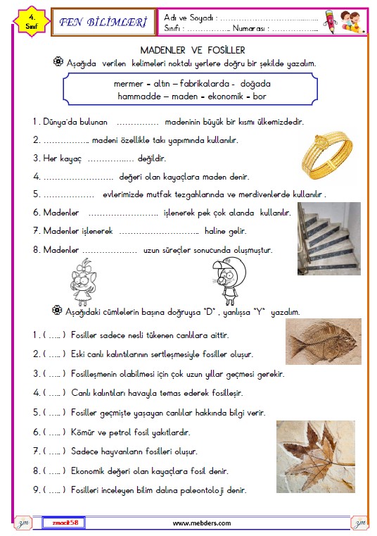 4. Sınıf Fen Bilimleri Madenler ve Fosiller Etkinliği