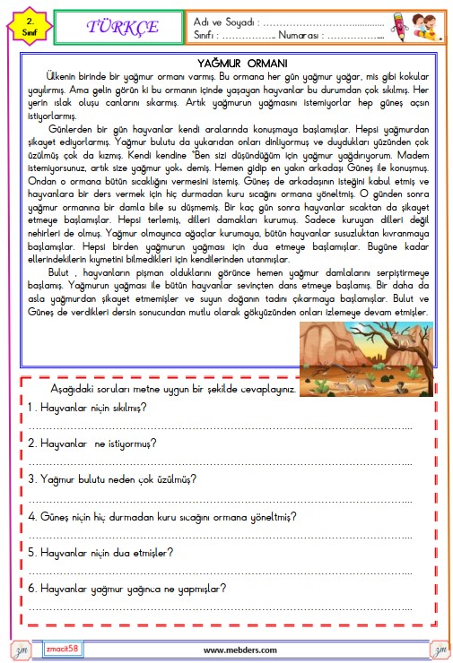 2. Sınıf Türkçe Okuma ve Anlama Metni Etkinliği (Yağmur Ormanı)