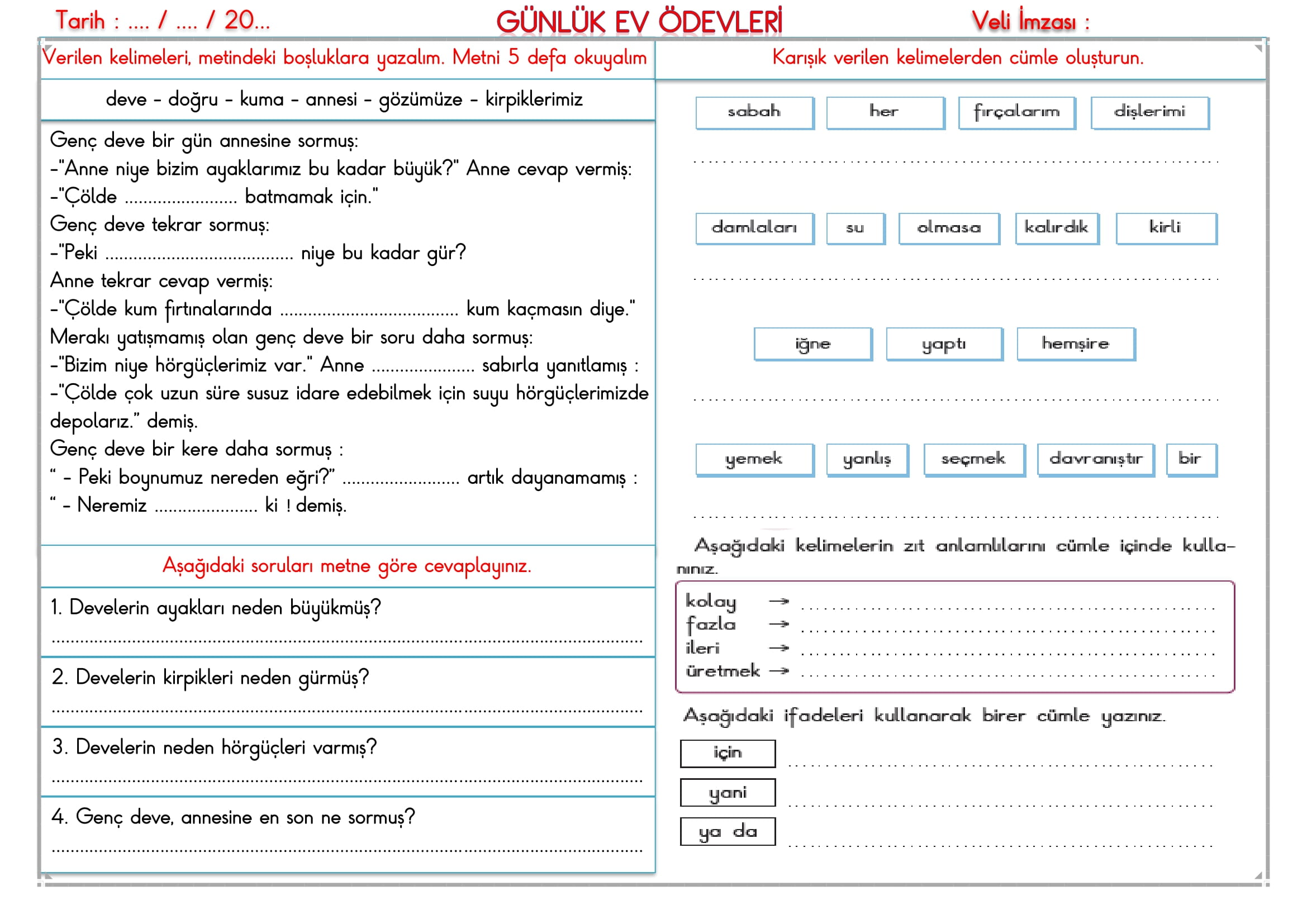 2.Sınıf 04 Aralık 2024 Günlük Ev Ödevi