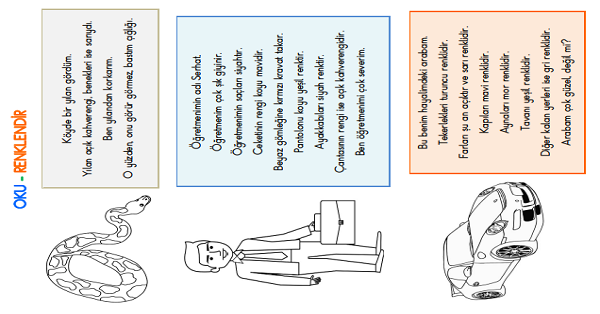 1.Sınıf Türkçe Oku-Anla-Boya Etkinliği - 2