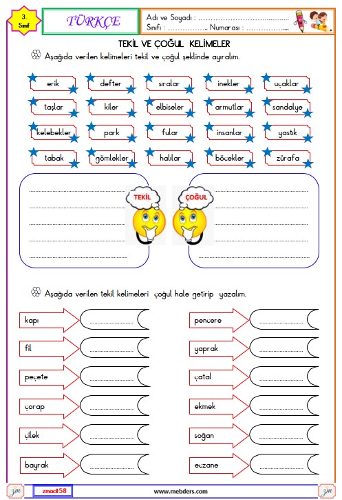 3. Sınıf Türkçe Tekil ve Çoğul Kelimeler Etkinliği