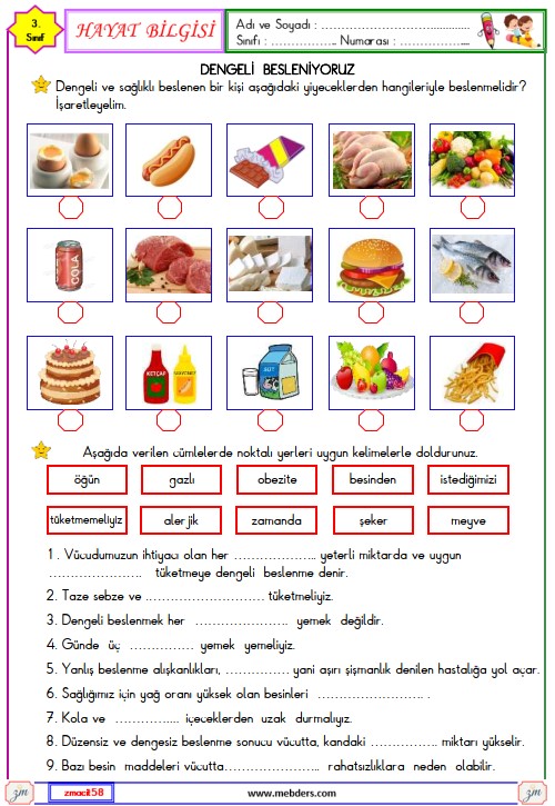 3. Sınıf Hayat Bilgisi Dengeli Besleniyoruz Etkinliği