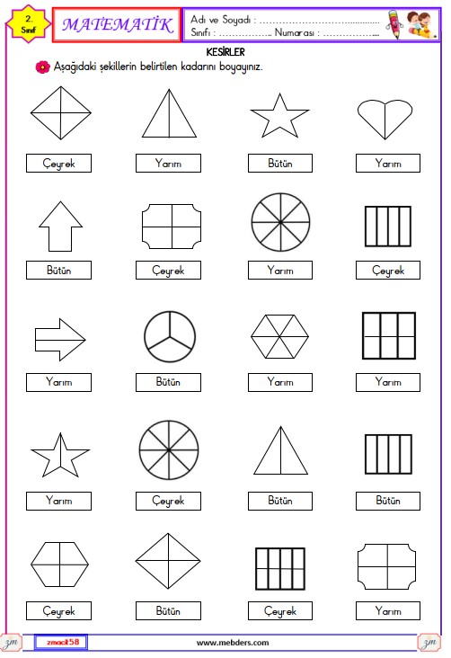 2. Sınıf Matematik Kesirler Etkinliği 6