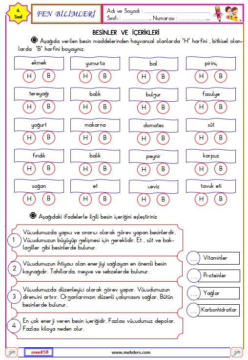 3. Sınıf Hayat Bilgisi Okulda İsteklerimi Belirtiyorum Etkinliği