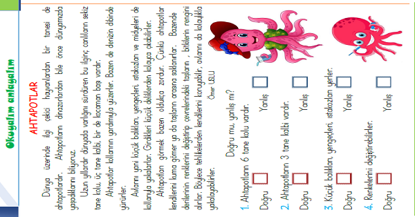 1.Sınıf Türkçe Okuyalım-Anlayalım (Ahtapotlar) Metni