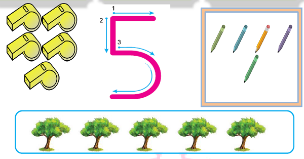 1.Sınıf Matematik Beş Rakamı (5 Rakamı) Etkinliği