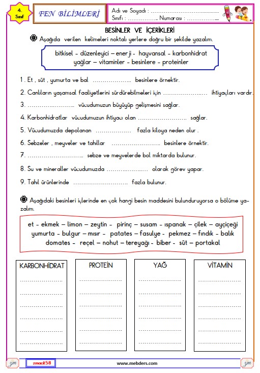 3. Sınıf Fen Bilimleri Varlıkların Hareket Özellikleri Etkinliği 1