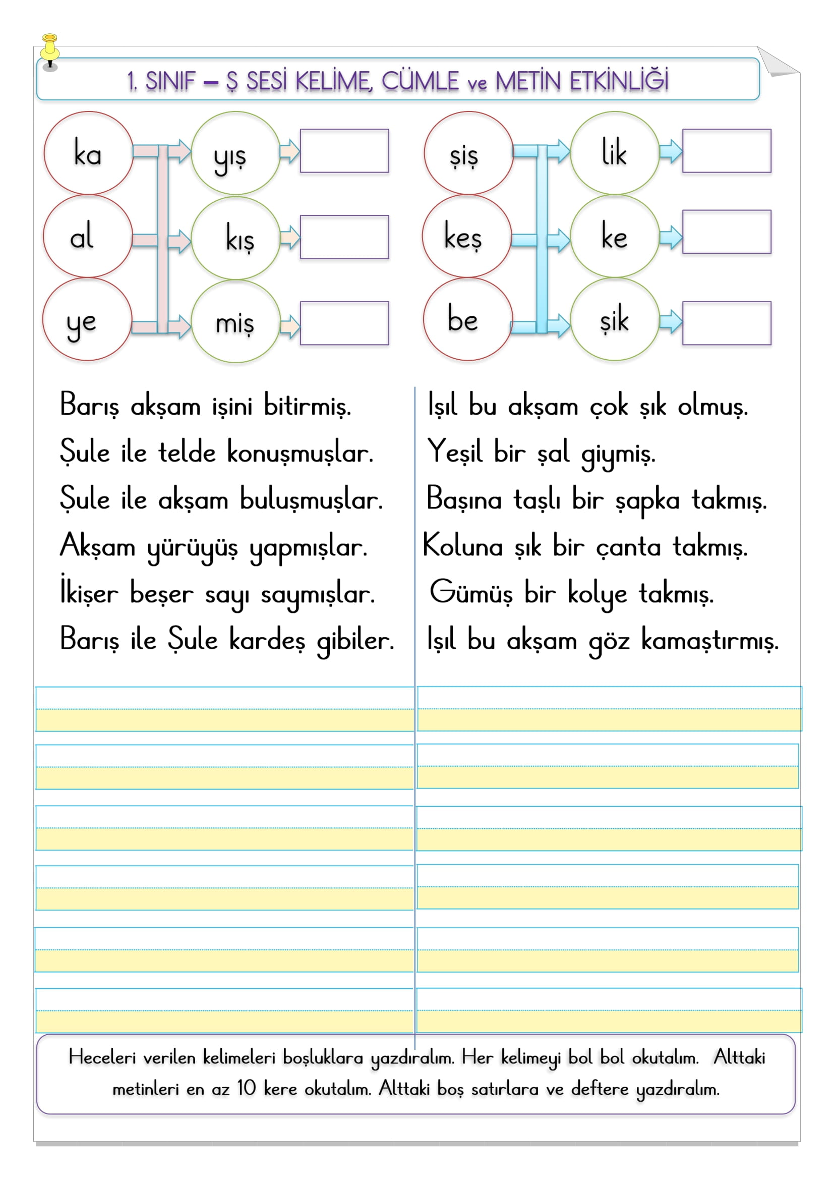 1.Sınıf  Ş sesi kelime, cümle ve metin etkinliği