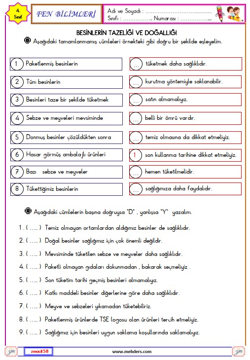 4. Sınıf Fen Bilimleri Besinlerin Tazeliği ve Doğallığı Etkinliği