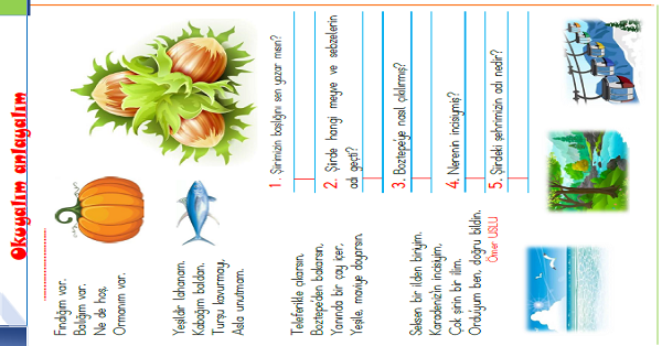 1. Sınıf Türkçe Okuyalım-Anlayalım (Ordu İlimiz) Şiiri