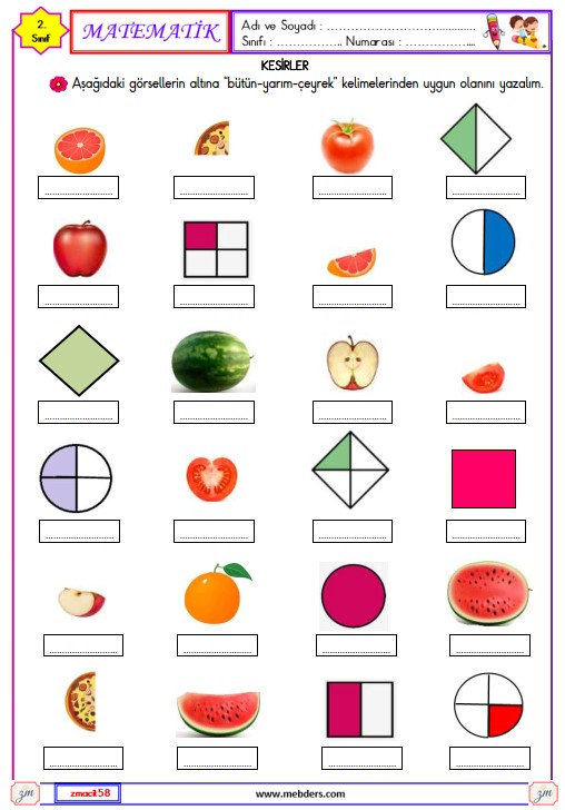 2. Sınıf Matematik Kesirler Etkinliği 5