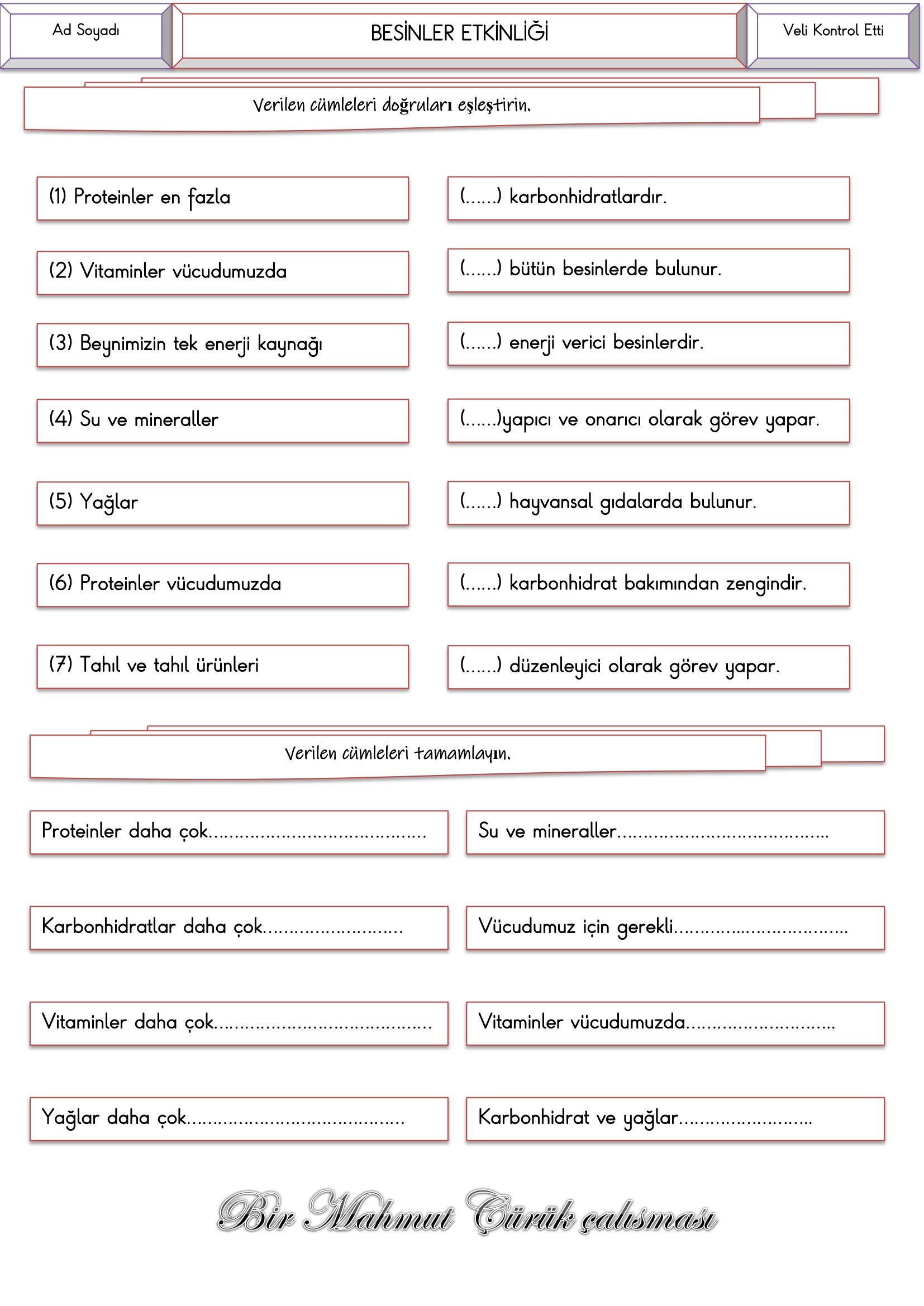 4.Sınıf Fen Bilimleri Besinler Etkinliği-3