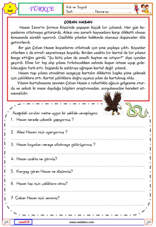 3. Sınıf Türkçe Okuma ve Anlama Metni Etkinliği (Çoban Hasan)