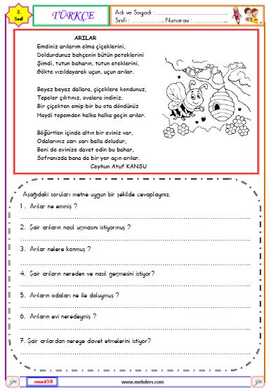 3. Sınıf Türkçe Okuma ve Anlama Metni Etkinliği (Arılar)
