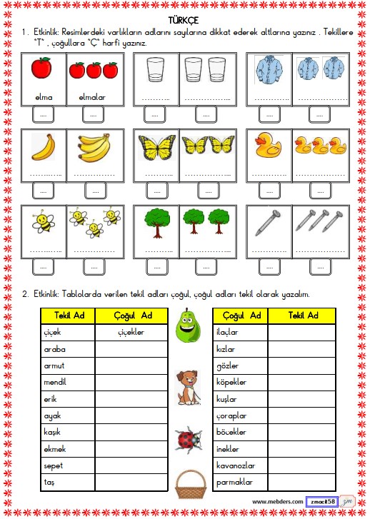 2. Sınıf Türkçe Tekil ve Çoğul İsim Etkinliği 5