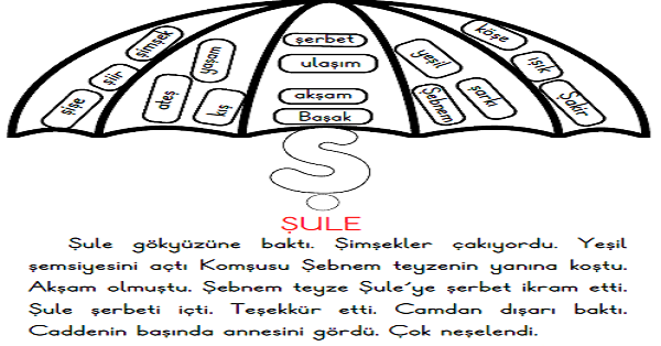 1. Sınıf İlk Okuma Yazma Ş Sesi Okuma Metni