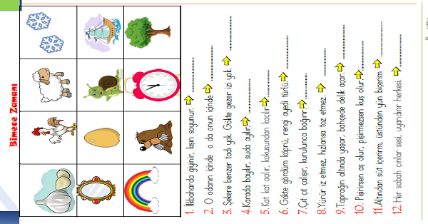 1. Sınıf Türkçe Bilmece Etkinliği 2