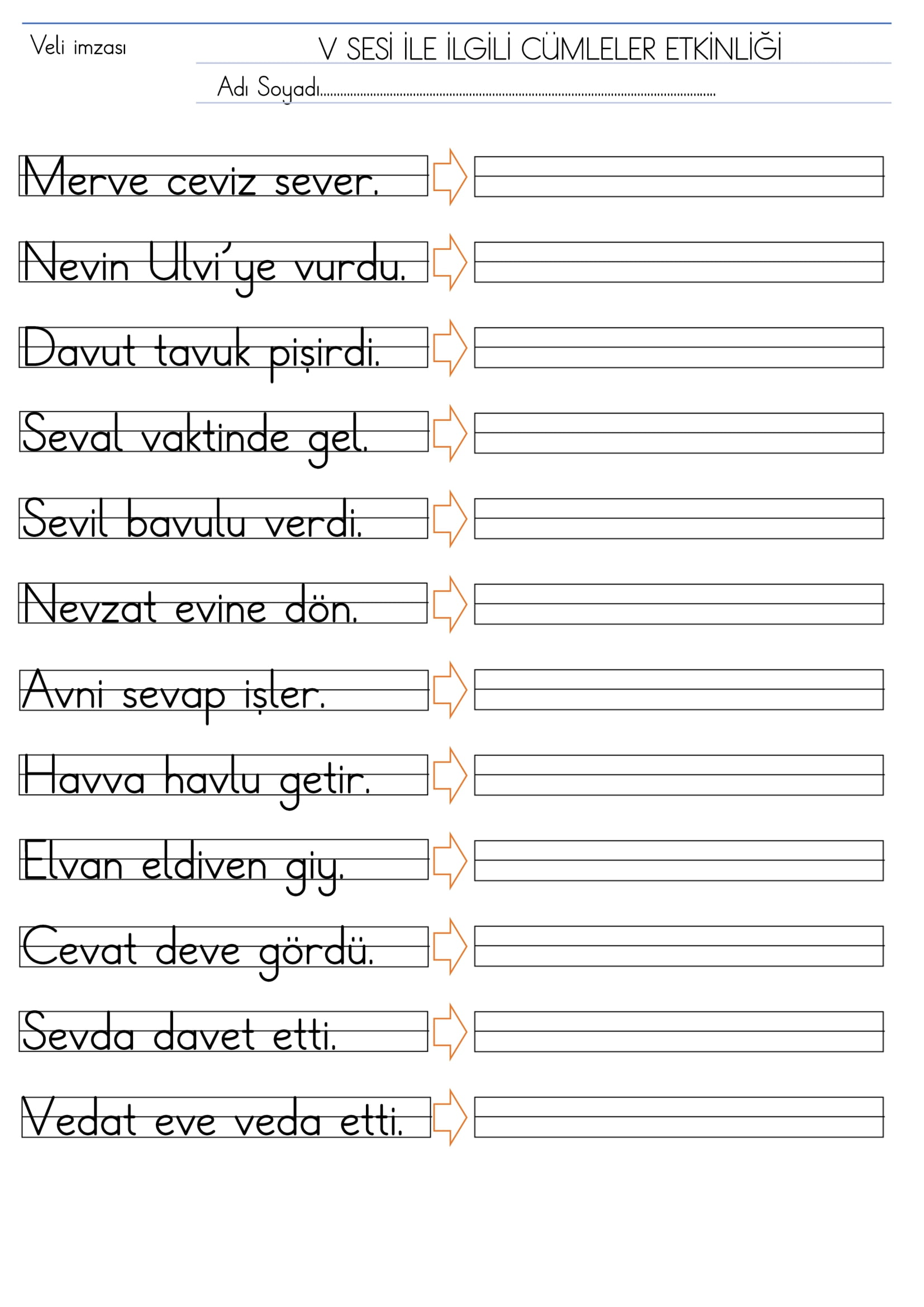 1.Sınıf V Sesi Cümleler Etkinliği