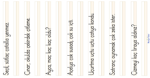 1. Sınıf İlk Okuma Yazma ( Ç-ç Sesi) Cümle Dikte Çalışması