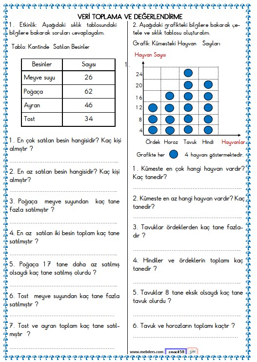 3. Sınıf Matematik Veri ve Tablo Etkinliği 6