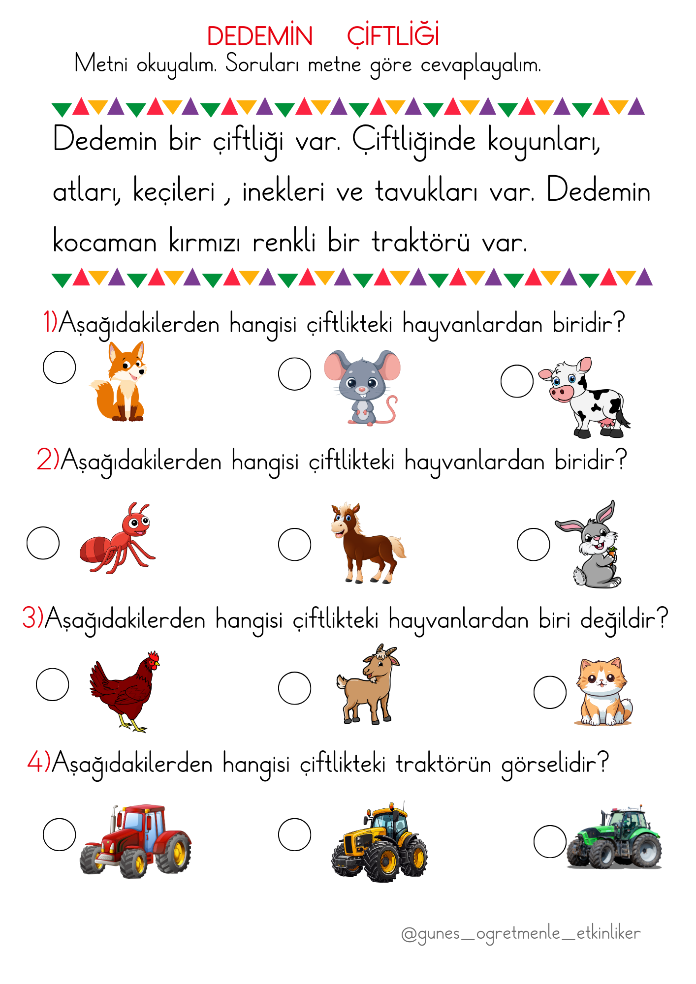 1.Sınıf Türkçe Okuduğunu Anlama