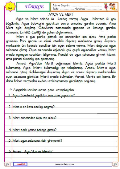 1. Sınıf Türkçe Okuma ve Anlama Etkinliği (Ayça ve Mert)