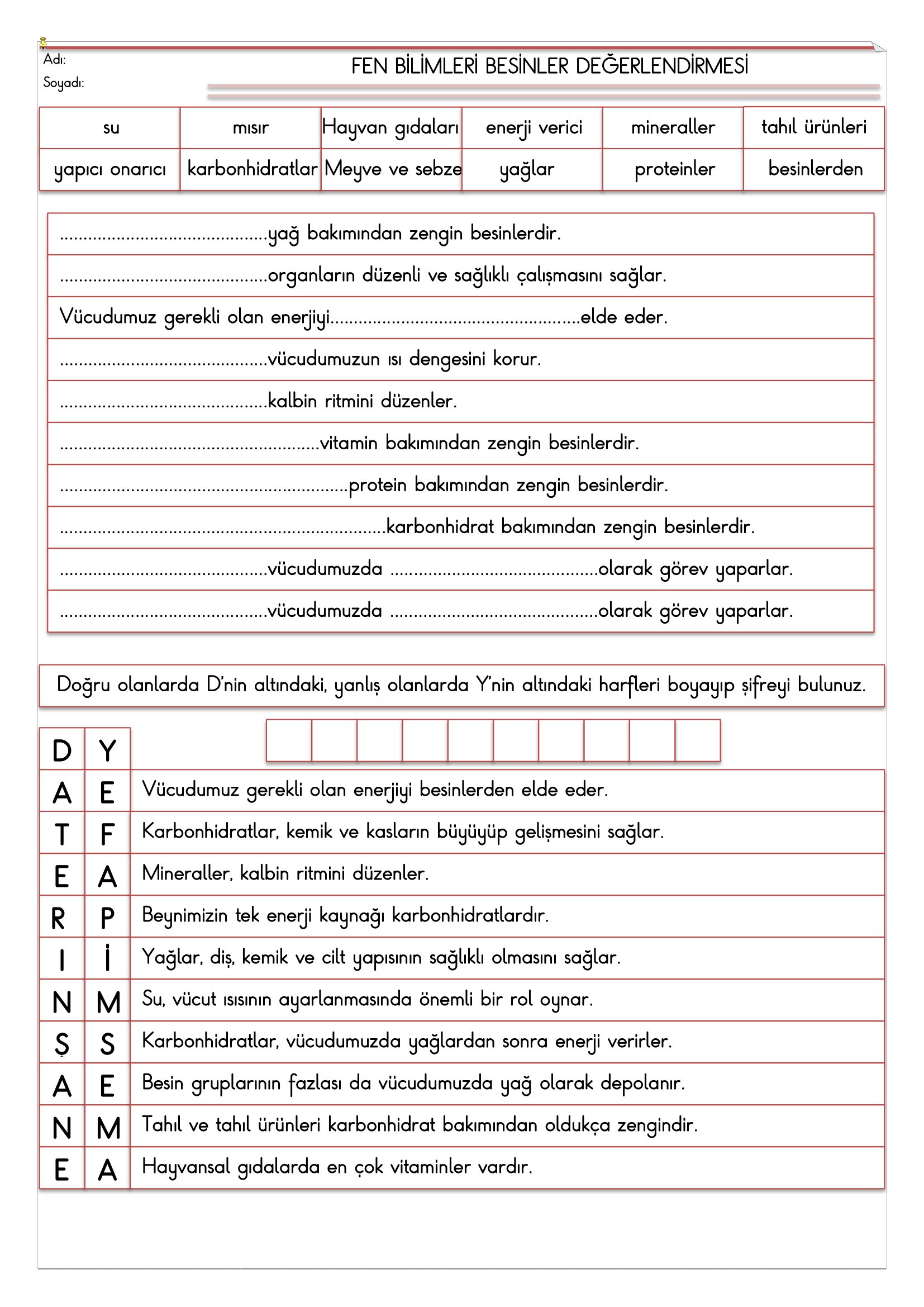 4.Sınıf - Fen Bilimleri Besinlerr Değerlendirmesi