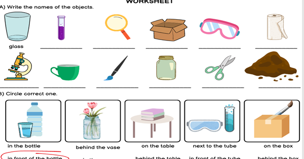 4.Sınıf 6.Ünite Fun With Science Çalışma Kağıdı