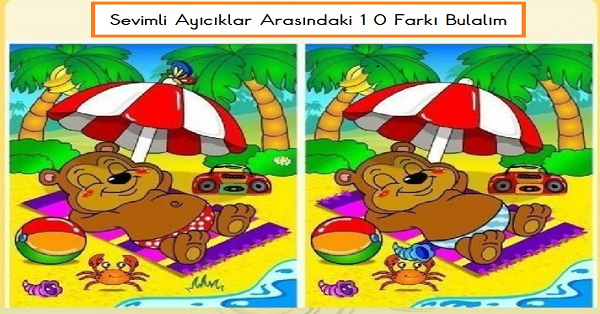 Sevimli Ayıcıklar Arasındaki 10 Farkı Bulma Etkinliği