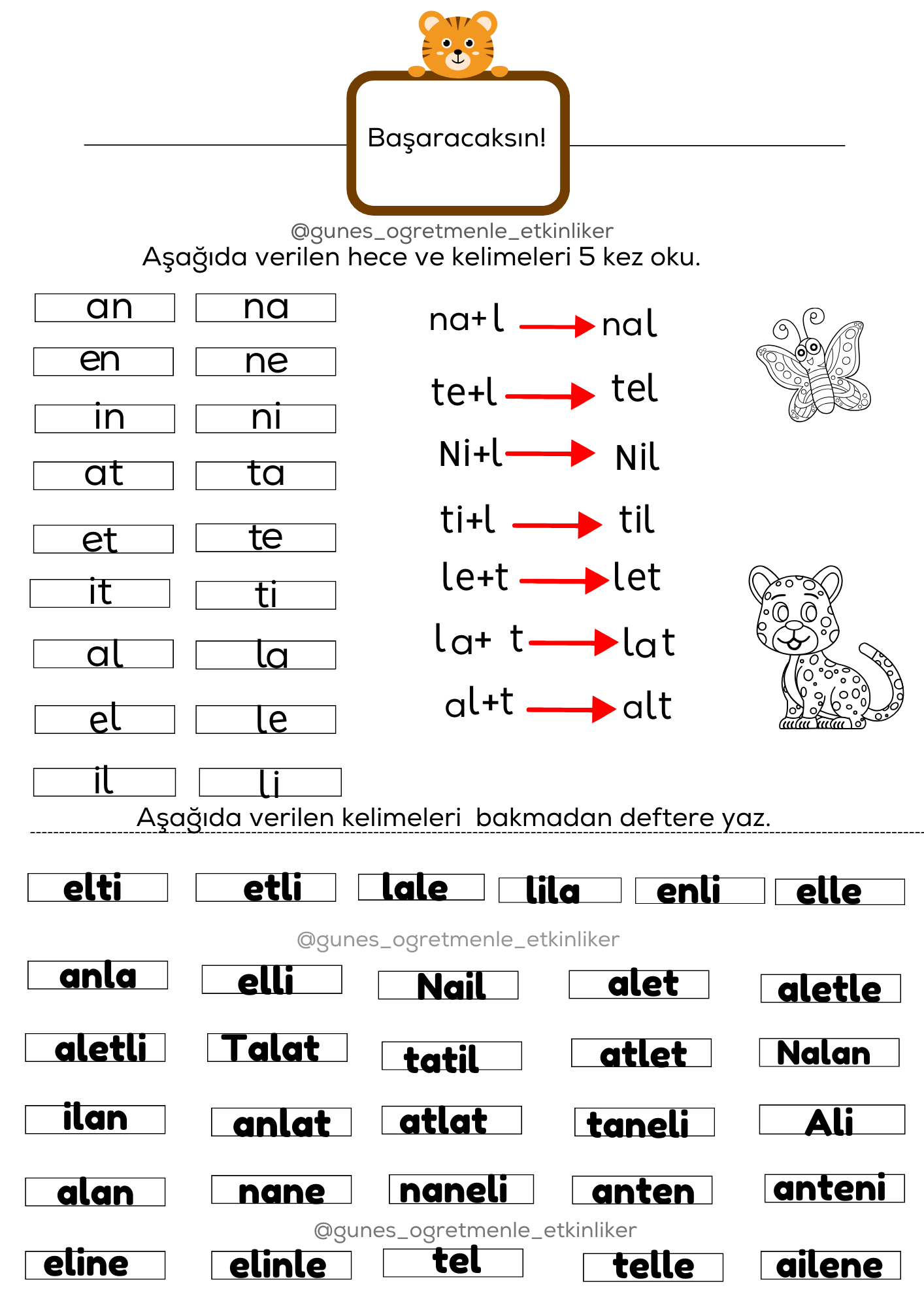 1. Sınıf İlk Okuma Yazma Anetil Ses Grubu Dikte Ve Okuma Tekrar Çalışması