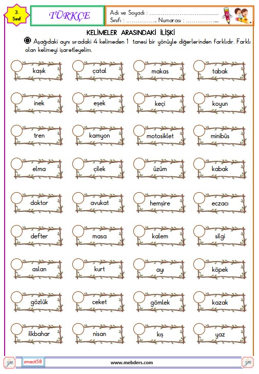 3. Sınıf Türkçe Kelimeler Arasındaki İlişkiler Etkinliği 4