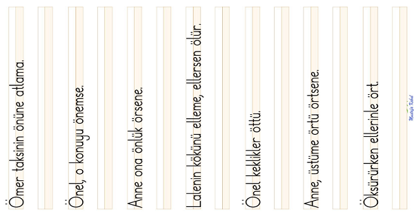 1. Sınıf İlk Okuma Yazma ( Ö-ö Sesi ) Cümle Dikte Çalışması