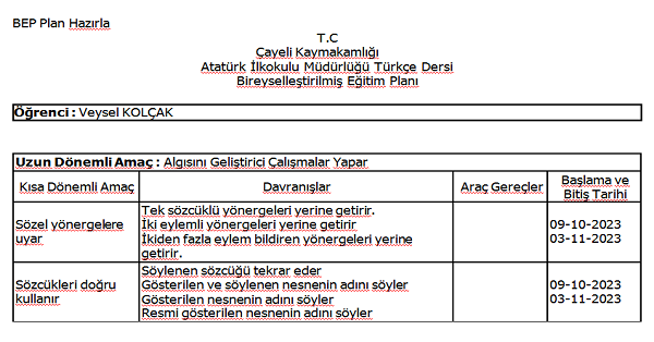 2. Sınıf Türkçe Bireyselleştirilmiş Eğitim Planı (Bep) 2023-2024