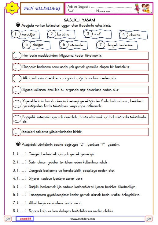 4. Sınıf Fen Bilimleri Sağlıklı Yaşam Etkinliği 1