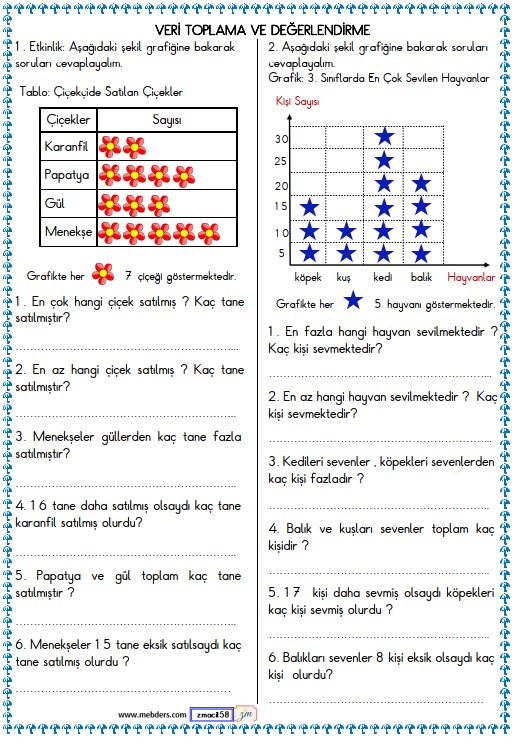 3. Sınıf Matematik Veri ve Tablo Etkinliği 8