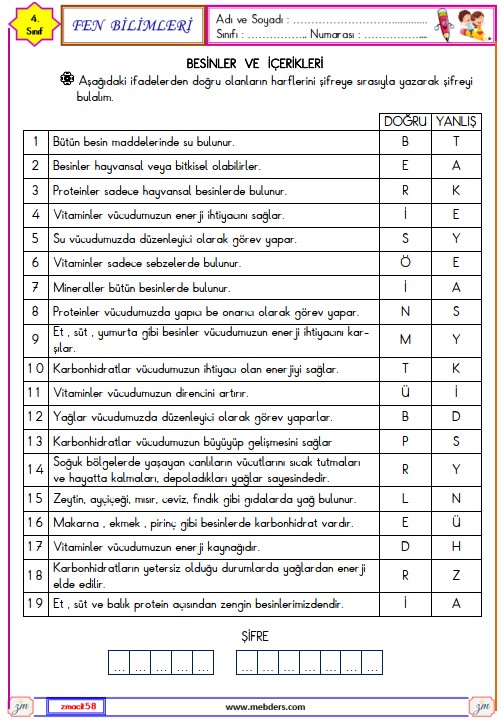 4. Sınıf Fen Bilimleri Besinler ve İçerikleri Etkinliği