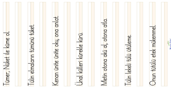 1. Sınıf İlk Okuma Yazma ( Ü- ü Sesi ) Cümle Dikte Çalışması