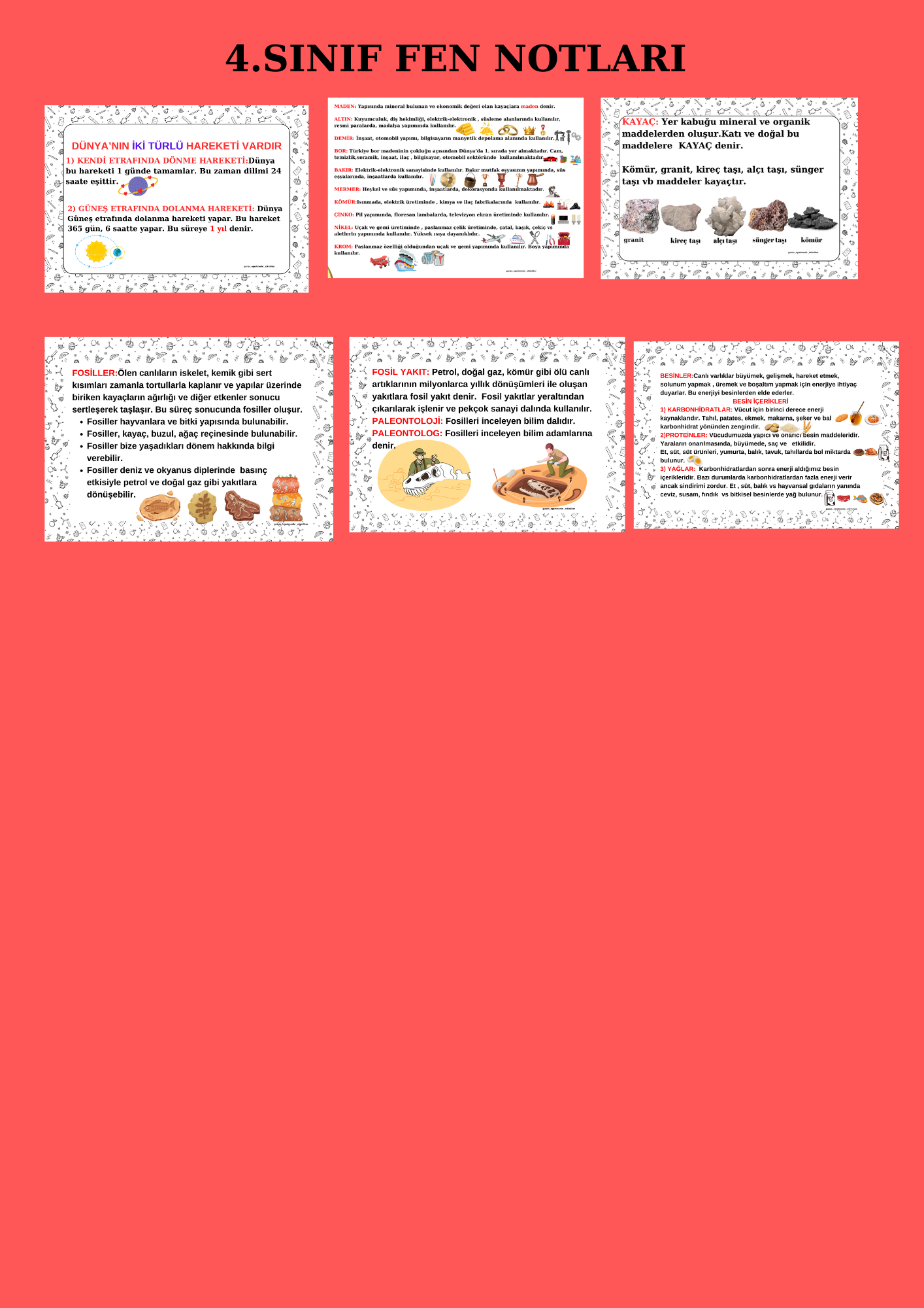 4.sınıf fen bilgisi notları