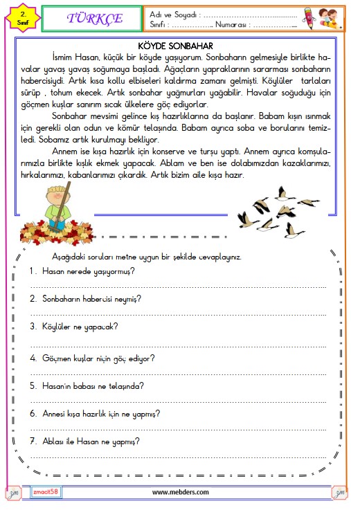 2. Sınıf Türkçe Okuma ve Anlama Etkinliği (Sonbahar)