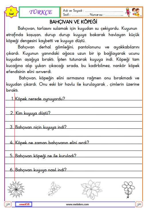 1. Sınıf Türkçe Okuma ve Anlama Metni Etkinliği (Bahçıvan ve Köpeği) 2