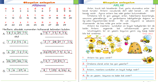 1.Sınıf Türkçe Okuyalım-Anlayalım-Cevaplayalım (Arılar) Metni