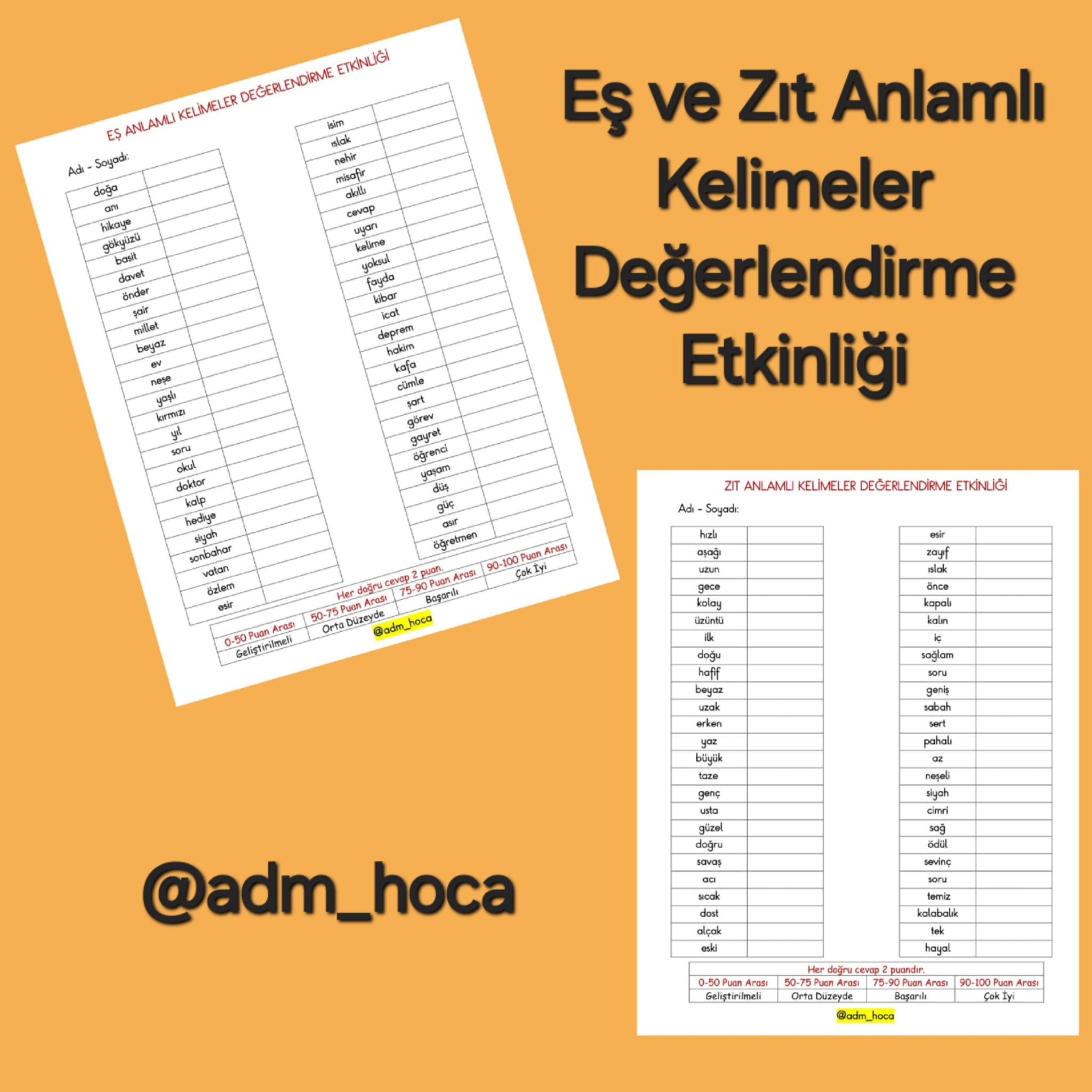 Eş ve Zıt Anlamlı Kelimeler Değerlendirme Etkinliği