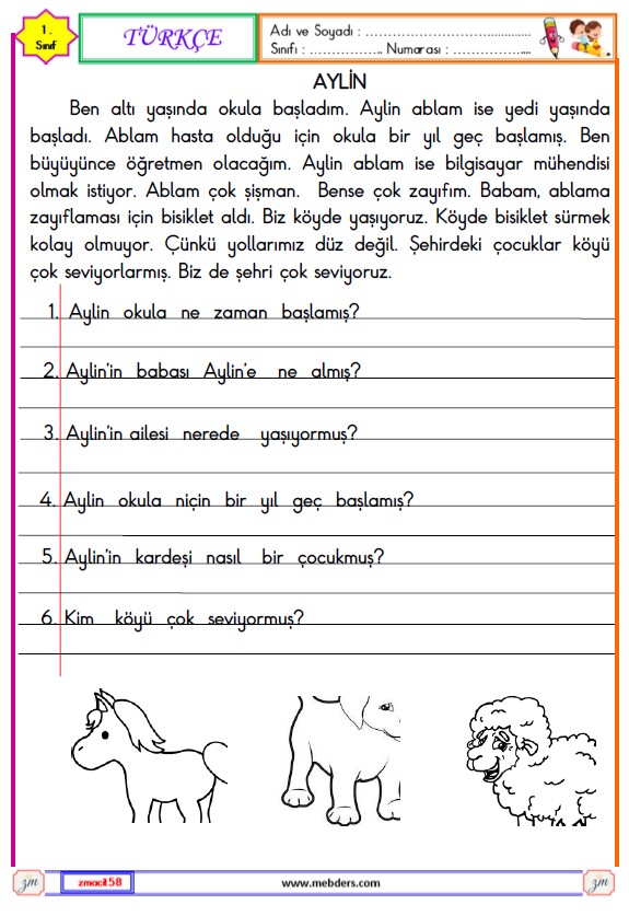 1. Sınıf Türkçe Okuma ve Anlama Metni Etkinliği (Aylin)